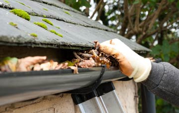 gutter cleaning Wintershill, Hampshire