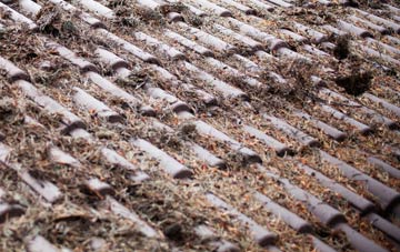 Wintershill roof cleaning companies